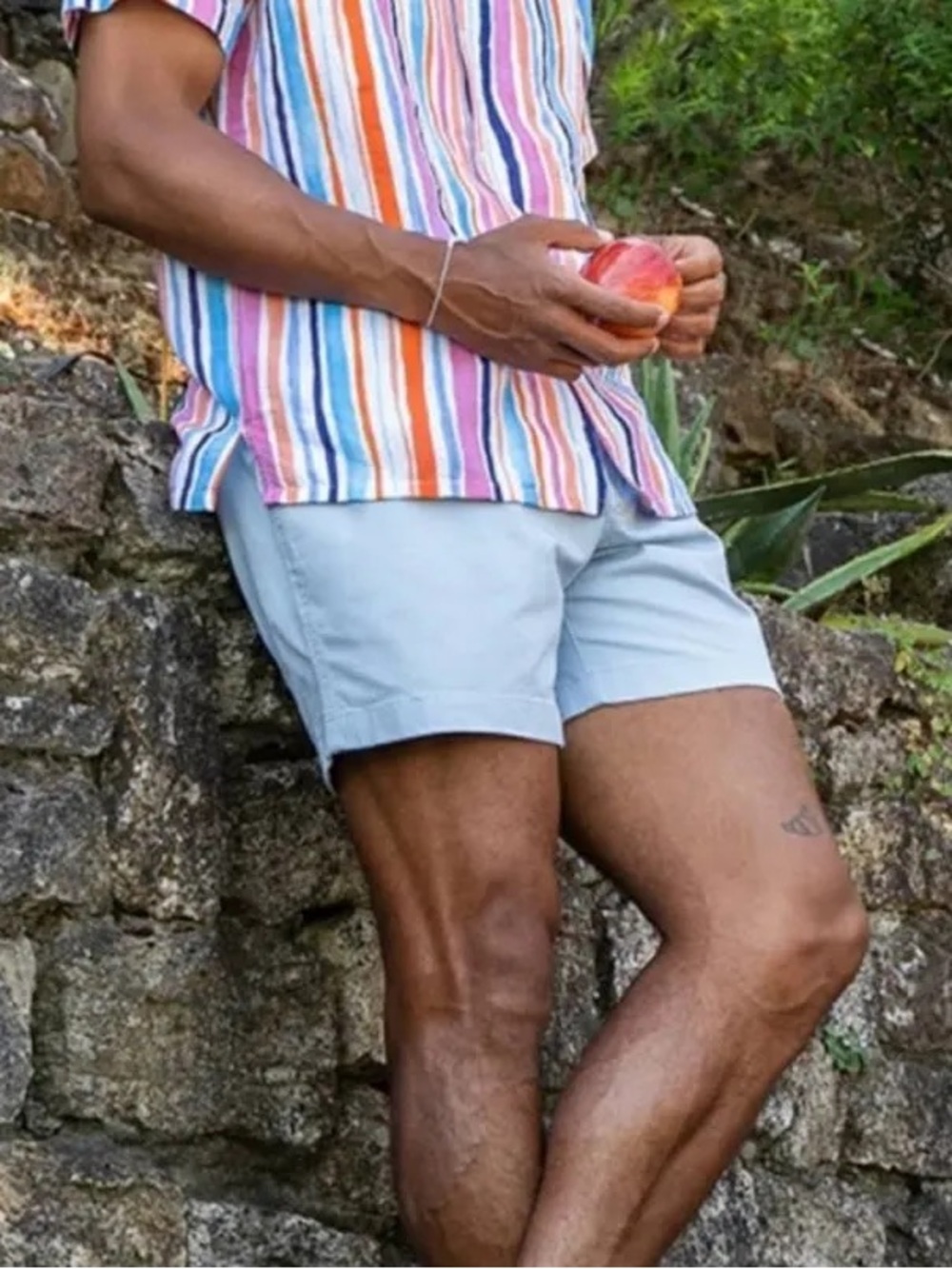 Chubbies The Misty Breezes 5.5" Originals Stretch Twill